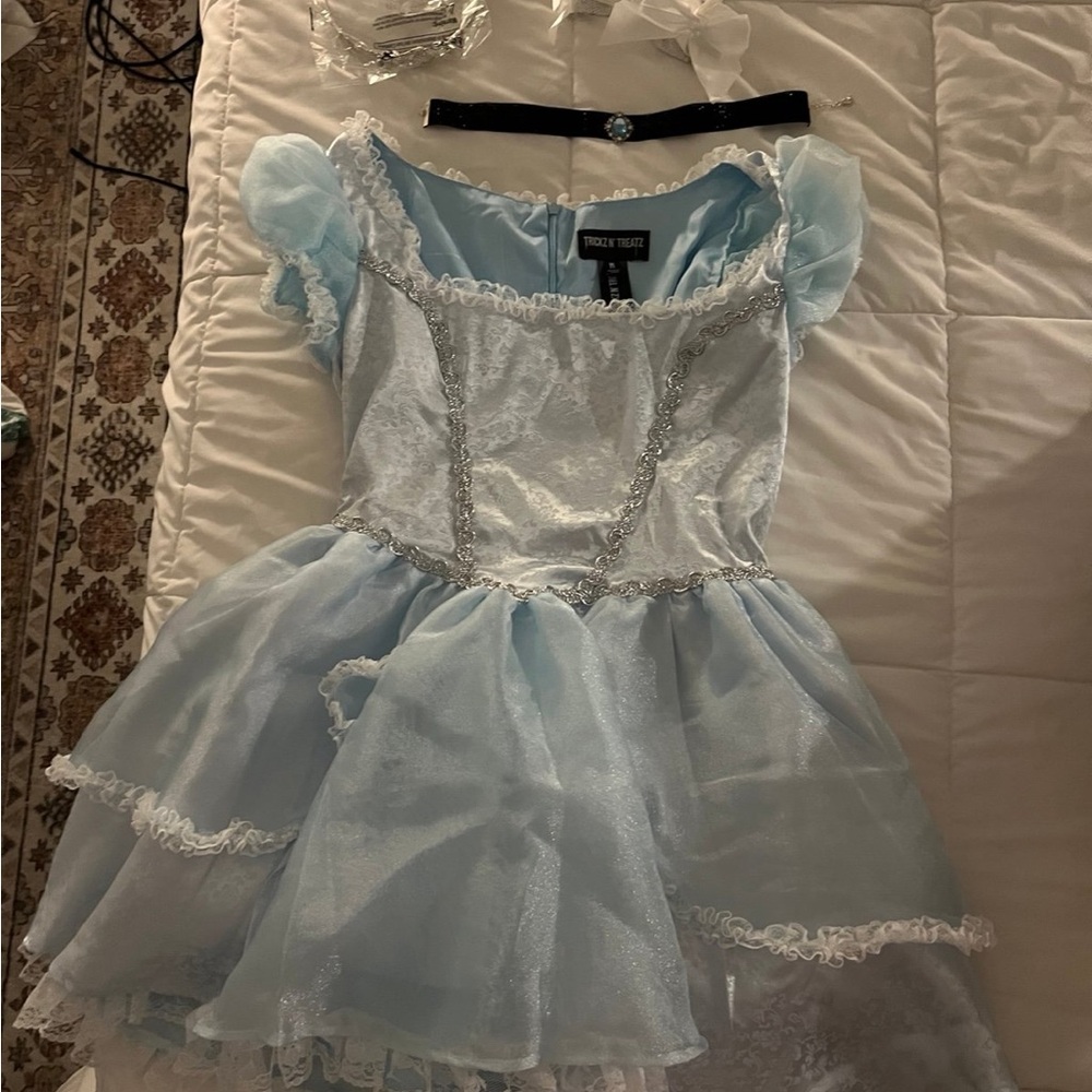 Cinderella Costume